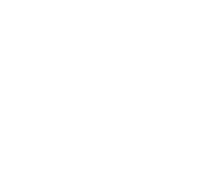 Beirut Tree Icon